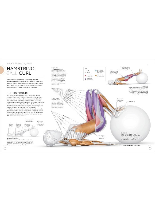 Science of Strength Training: Understand the anatomy and physiology to transform your body