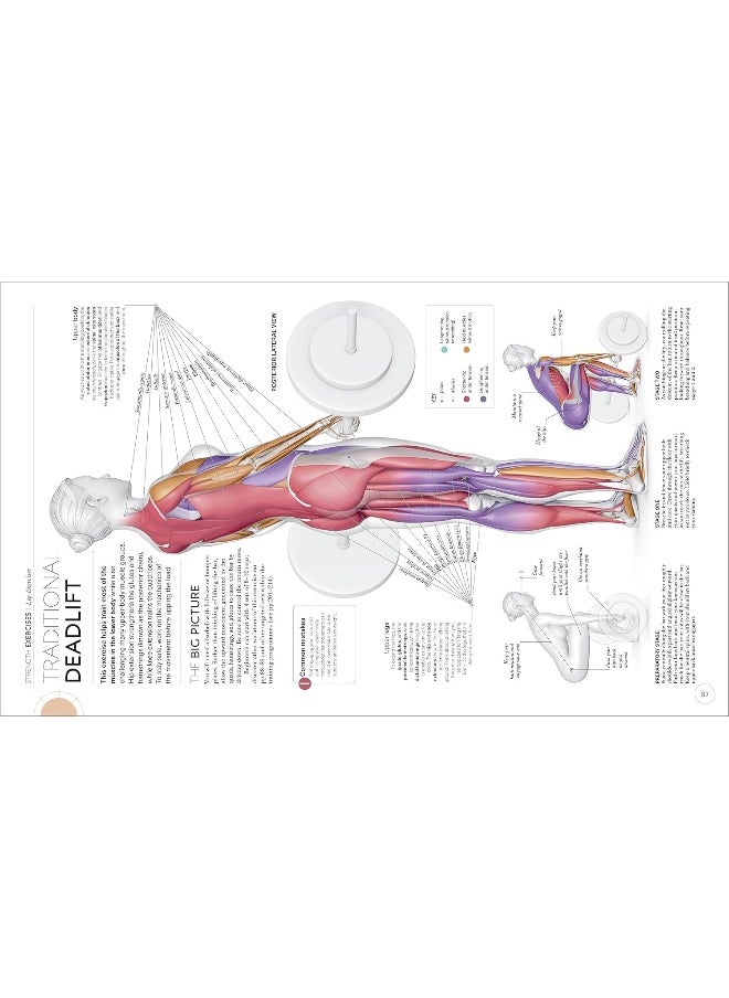 Science of Strength Training: Understand the anatomy and physiology to transform your body