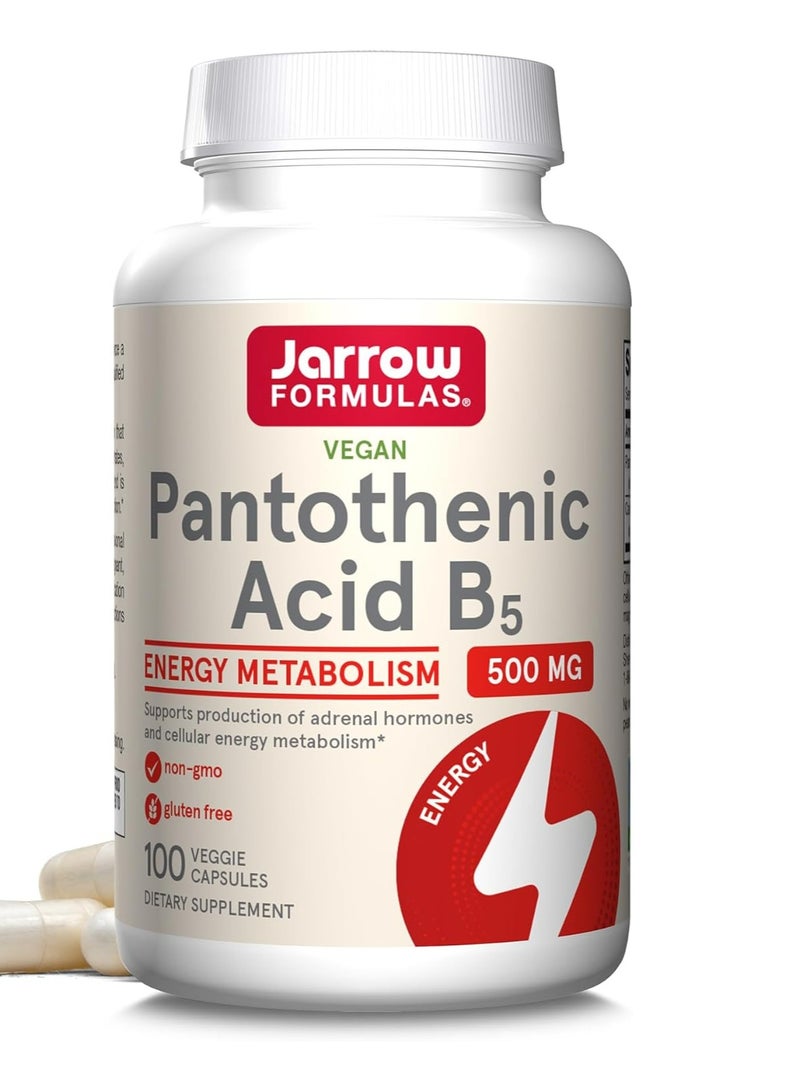 jarrow formulas صيغ حمض البانتوثينيك B5 - 500 ملغ - 100 كبسولة نباتية