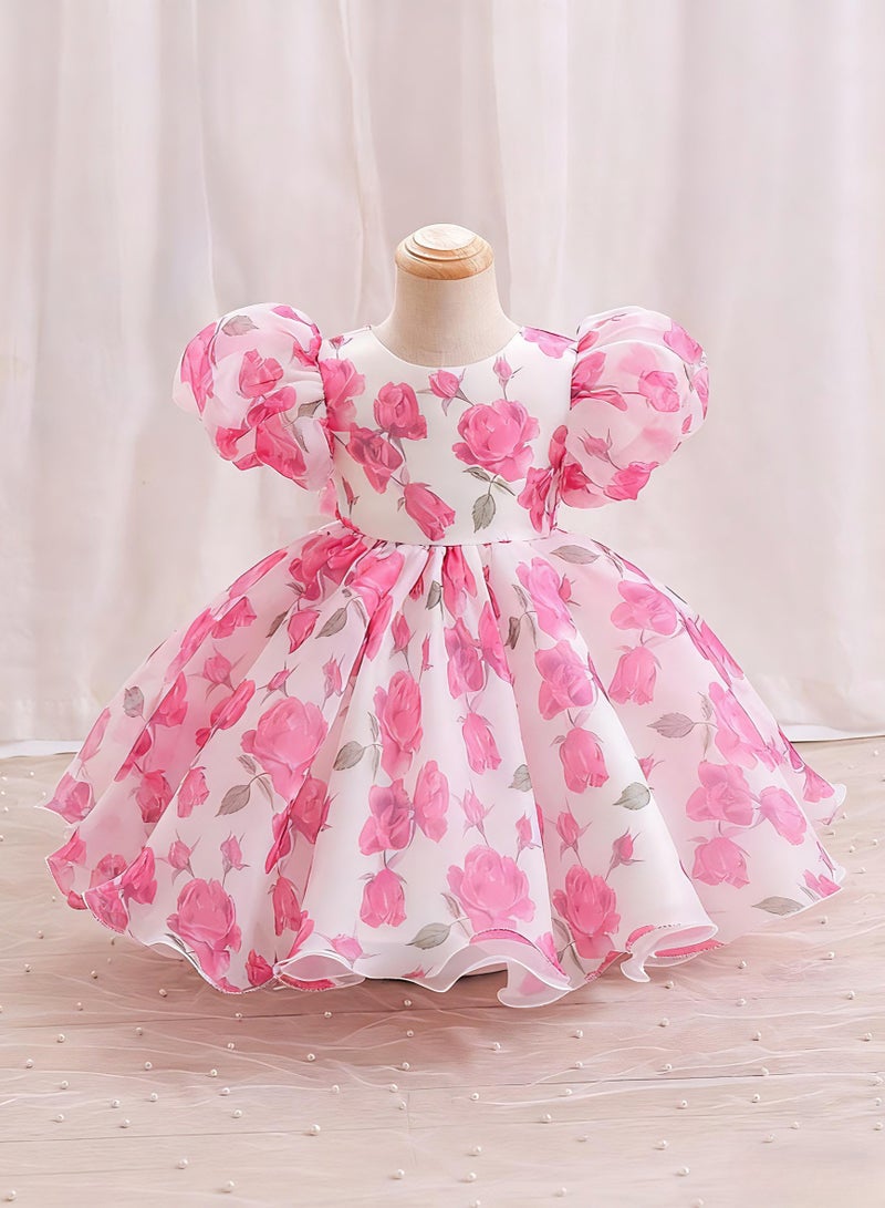 Baby Girl Dress - Puff Sleeve Tulle Party Dress with Elegant Bow Detail & Round Neck, Newborn Baby Dress, Baby Gift Set, Girl Dress, Frock for Girls - Pink Red, 90cm (12-18M) - Image 1
