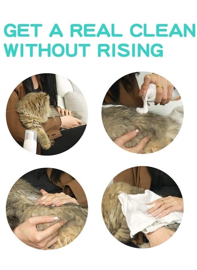 YEGBONG 60ml Waterless Cat and Dog Shampoo Pet Dry Shampoo Foam Cleaner Bath Grooming for Cat Kitten Dog Puppy No Rinse - Image 3
