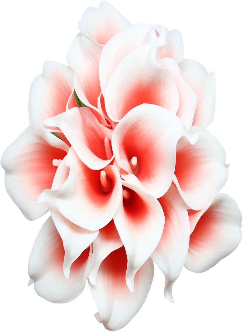 GGOOT 4pcs Calla Lily Seeds Seeds Garden Flower Seeds Perennial Heirloom Entry Level Variety Unique Cup Shaped Flowers Widely Gardening Courtyard Planting - Image 2