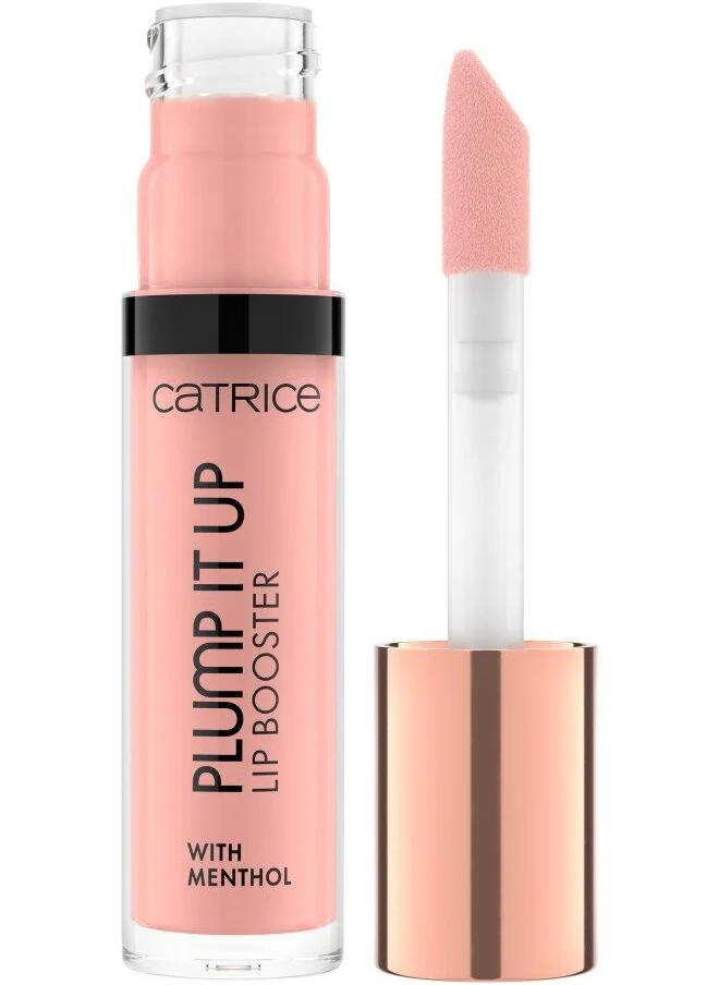 كاتريس Plump It Up Lip Booster 060