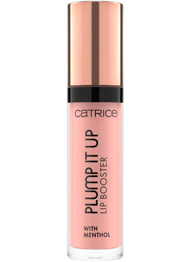 كاتريس Plump It Up Lip Booster 060