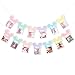 HIKLO Mouse 12 Months Photo Banner Pastel Rainbow First Birthday Photo Garland Happiest Birthday on Earth Banner Mouse Party Decor Mouse Monthly Milestone Garland - Image 3