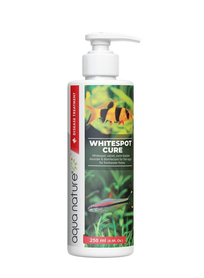 aqua nature AquaNature Aquarium Medicine WhiteSpot Cure Special (White spot Velvet,Swim Bladder Disorder & Disinfectant for Fish Eggs for Fresh Water Aquarium) 250ml/8.5oz - Image 1