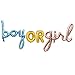 Hongkai Gender Reveal Party Decorations Backdrop Boy or Girl Foil Balloons for Baby Shower Decorations Gender Reveal Party Supplies - Image 3