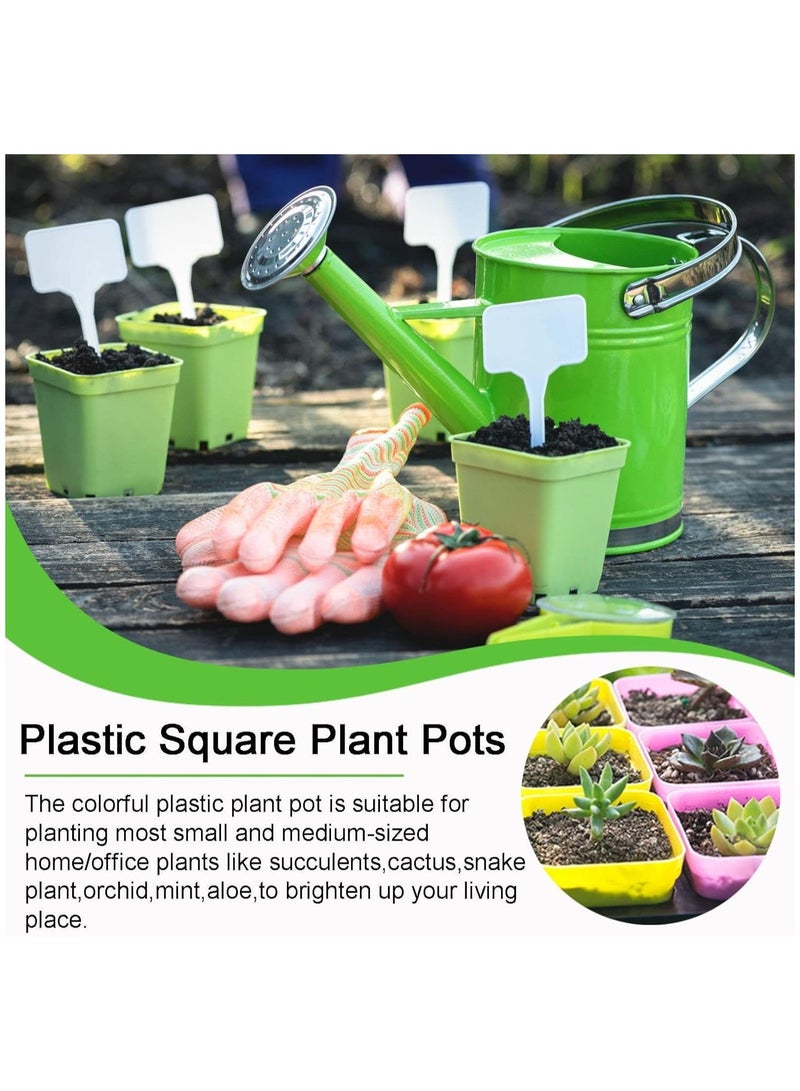 NANAO 30 PCS Colorful Plastic Plants Nursery Pot, SquareNursery Pots Set with Drainage Holes and Tray, Small Plant Pots for Indoor Outdoor Plants, Garden, Home Balcony Decorations  - Image 3
