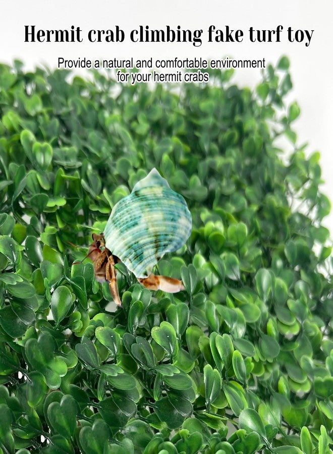Rainmae 2Pack Faux Grass Mat Fake Turf Hermit Crab Climbing Wall, Hermit Crab Climbing Toys, Plastic Aquarium Plants Lawn Hermit Crab Supplies Climbing and Hide Toy for Gecko Reptile Lizard 10x10 inch - Image 4