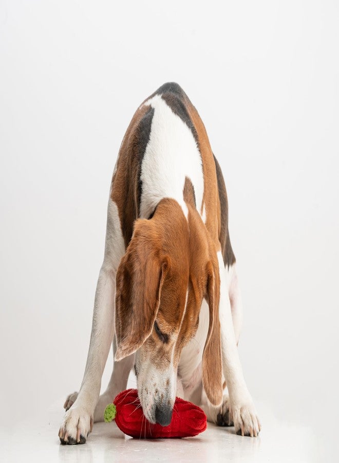 Puffy Crew Squeaky Dog Plush Toy, Bite_Stick Collection, 8'', for Small and Medium Dogs (Red Chili) - Image 3