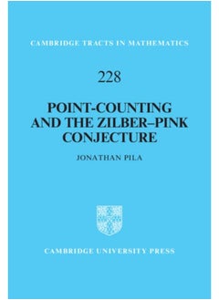 Point-Counting and the Zilber–Pink Conjecture 