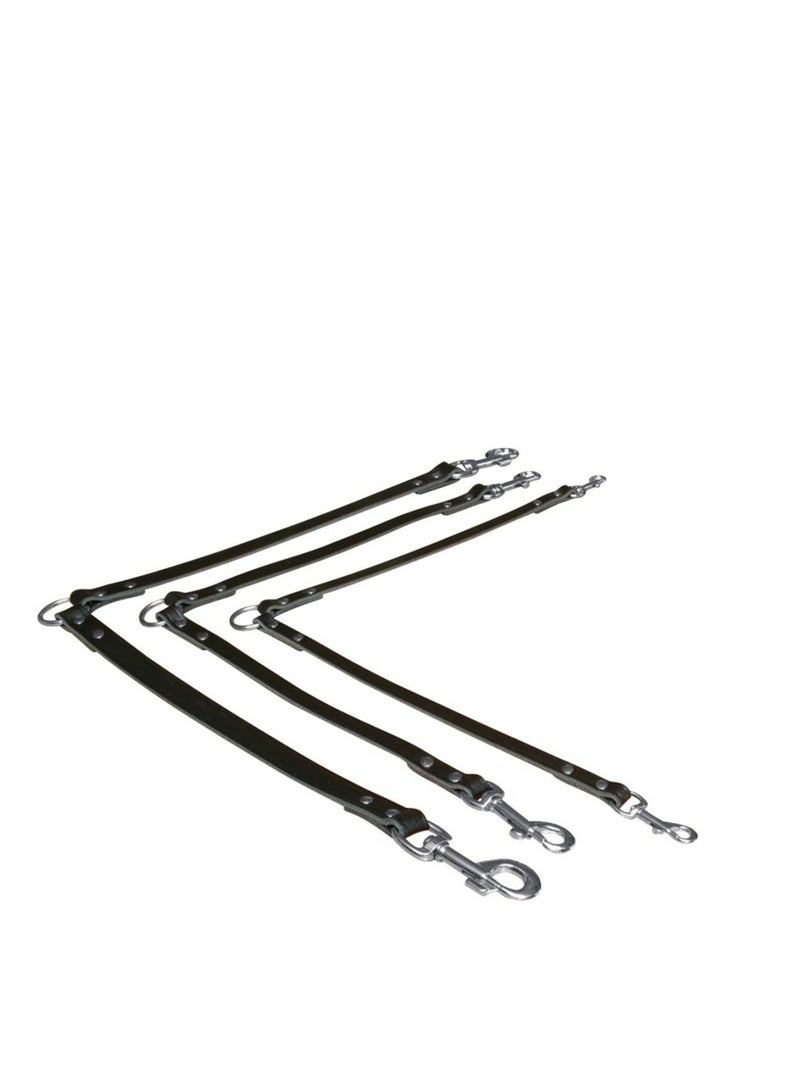 تريكسي مقرنة تريكسي جلدية سوداء للكلاب - Image 1