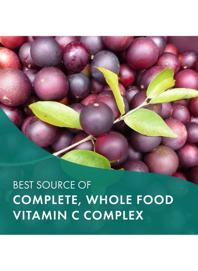 PURE ESSENCE LABS Wholec Whole Food Vitamin C Best Immune Support Organic & Nature Vitamins Immunity Booster & Dietary Supplements (30 Tablets) - Image 5