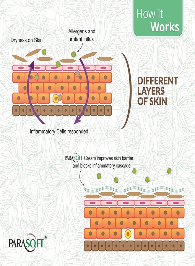 باراسوفت كريم باراسوفت للبشرة الجافة والمتشققة - مرطب مكثف مع خلاصة الصبار - كريم مغذي للبشرة في فصل الشتاء والبرد - 60 غرام - Image 5