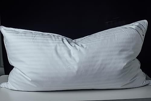Eastwarmth Goose Down Feather Soft Pillows One Pillow 100% Cotton Supportive Bed Pillow Stripe White Color King Size 20x36 inch - Image 1