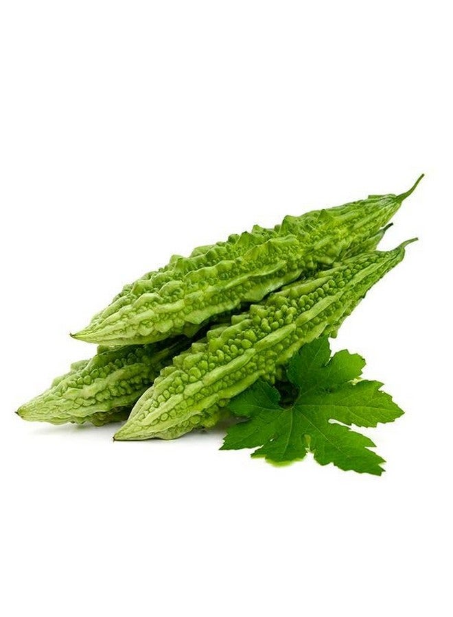 Bitter Gourd Powder 100g | Karela | Momordica Charantia | Pavakkai - Image 3