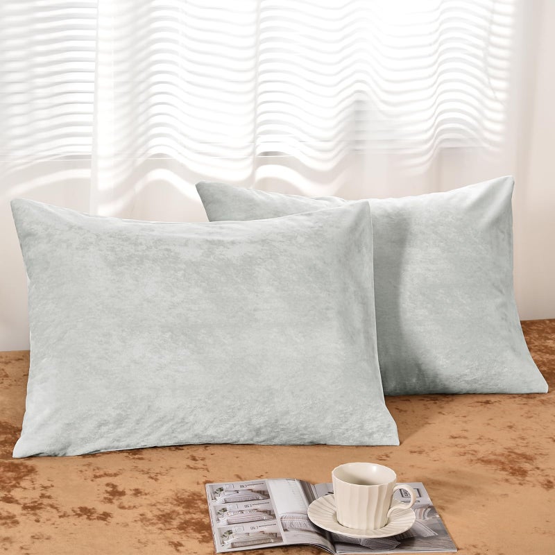 بي أتش إف PHF حقًا وسادات مخملية في المخملية الحجم القياسي لا إدراج 2 حزمة وسادة سادة ناعمة ناعمة الأغطية مع إغلاق المغلف 20 "× 26" - Image 1