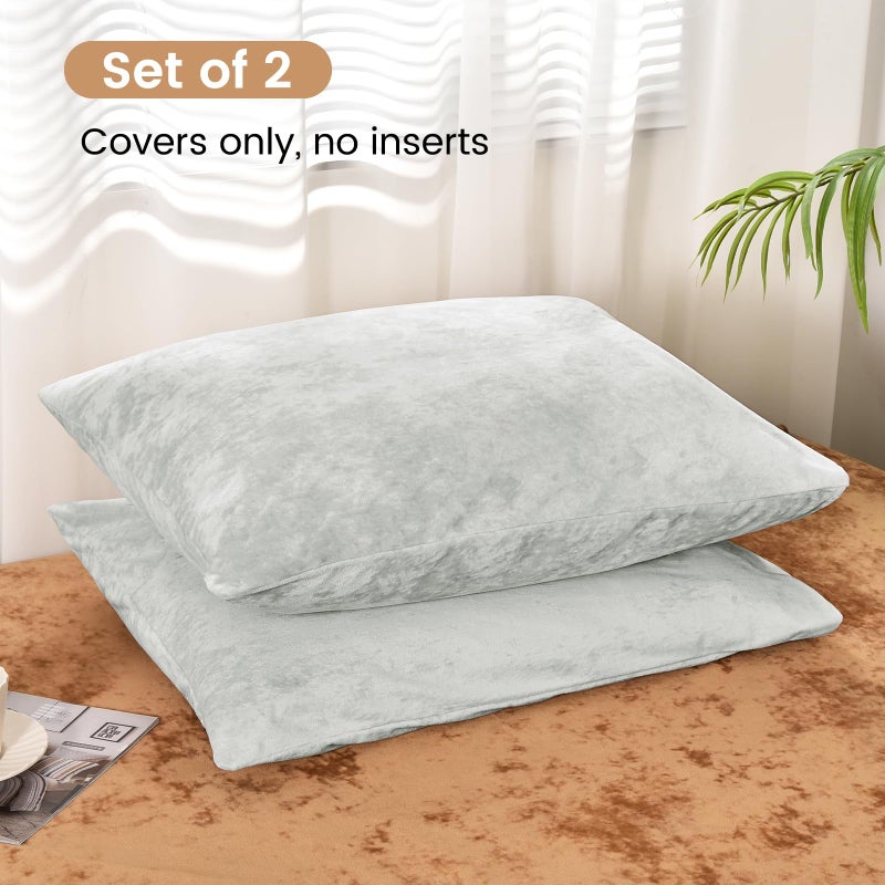 بي أتش إف PHF حقًا وسادات مخملية في المخملية الحجم القياسي لا إدراج 2 حزمة وسادة سادة ناعمة ناعمة الأغطية مع إغلاق المغلف 20 "× 26" - Image 3