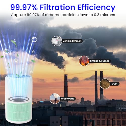 Future Way 2-Pack Core 300 Replacement Filter Compatible with LEVOIT Core 300 and Core 300S Air Purifier, H13 True HEPA, High-Efficiency Activated Carbon, Replace Core300-RF-TX, Green - Image 3