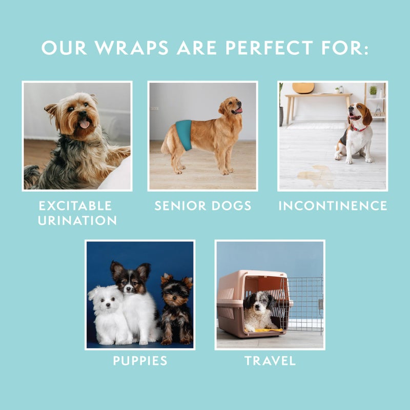 Simple Solution Washable Male Dog Diapers | Absorbent Male Wraps with Leak Proof Fit | Excitable Urination, Incontinence, or Male Marking | 1 Reusable Dog Diaper Per Pack, Whites & Tans, Large (11242) - Image 5