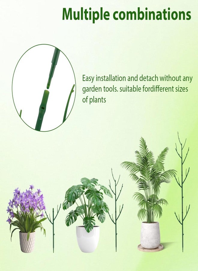 PERSZEN 6 Pack Plant Support Stakes for Indoo Outdoor Plants, 42.13In Plant Poles for Climbing Plants, Plant Accessories Indoor for Potted Plants, Monstera, Pothos - Image 3