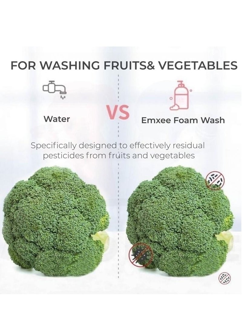 Feeding Bottle Cleanser Vege and Fruit Wash 500ml