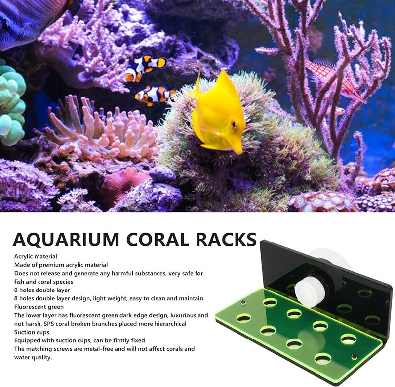 Fluorescent Green Acrylic Coral Frag Rack 6 Holes With Suction Cup For Aquarium - Image 5