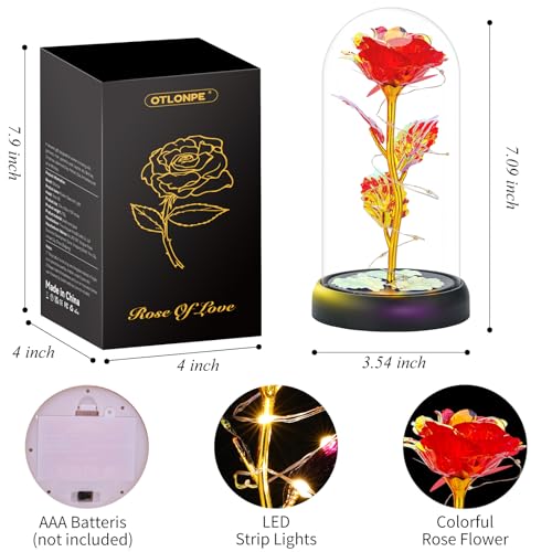 Otlonpe Mothers Day Flowers Gifts for Mom from Daughter Son, Preserved Forever Glass Light Up Rose Gifts for Grandma Wife Women Girlfriend Sister, Teacher Appreciation Graduation Gift for Her (Red) - Image 5