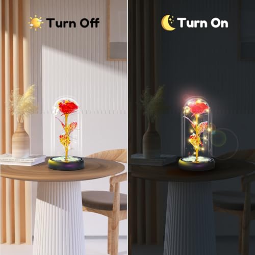 Otlonpe Mothers Day Flowers Gifts for Mom from Daughter Son, Preserved Forever Glass Light Up Rose Gifts for Grandma Wife Women Girlfriend Sister, Teacher Appreciation Graduation Gift for Her (Red) - Image 3