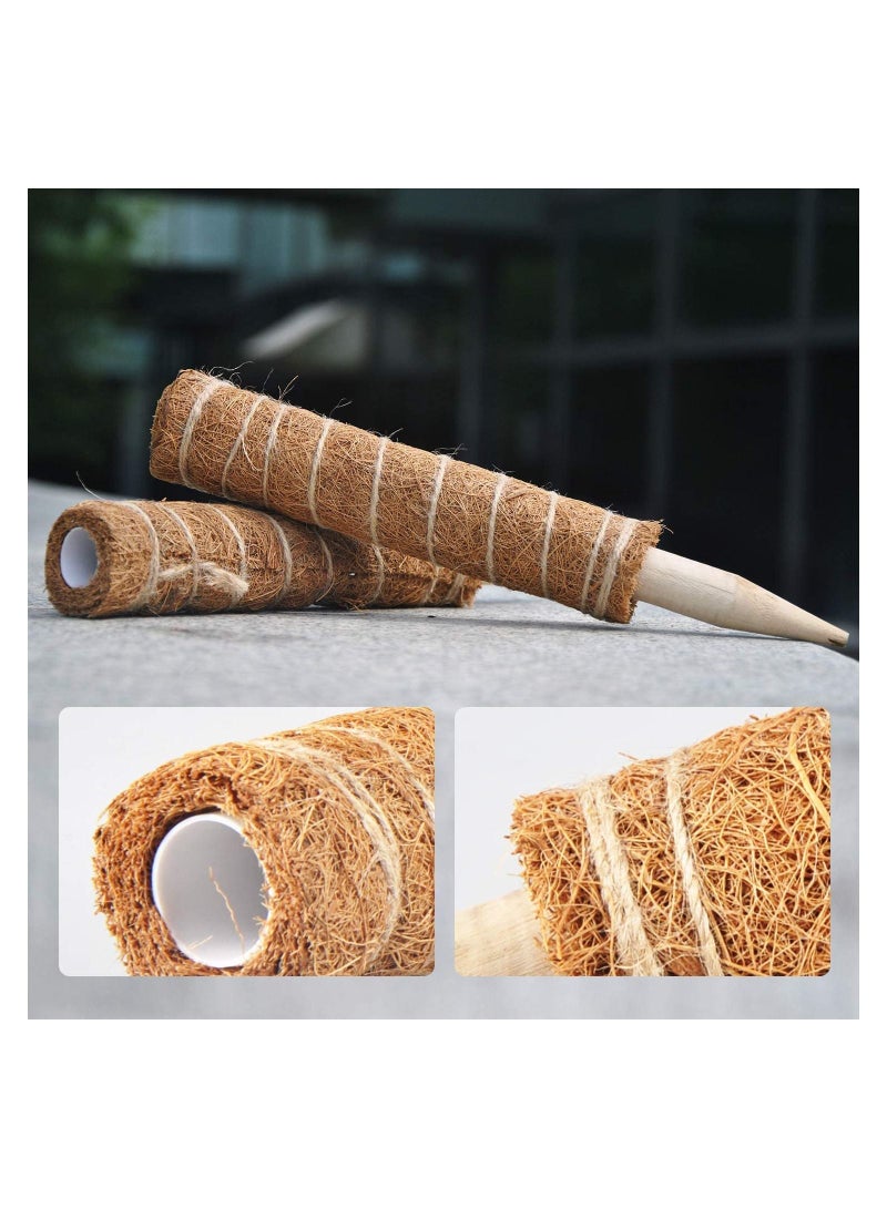 قطعتان من قطعتين 40 سم من الطحالب لتسلق النباتات ، من أجل الزواحف Monstera وغيرها من ملحقات الدعم الداخلية - Image 5