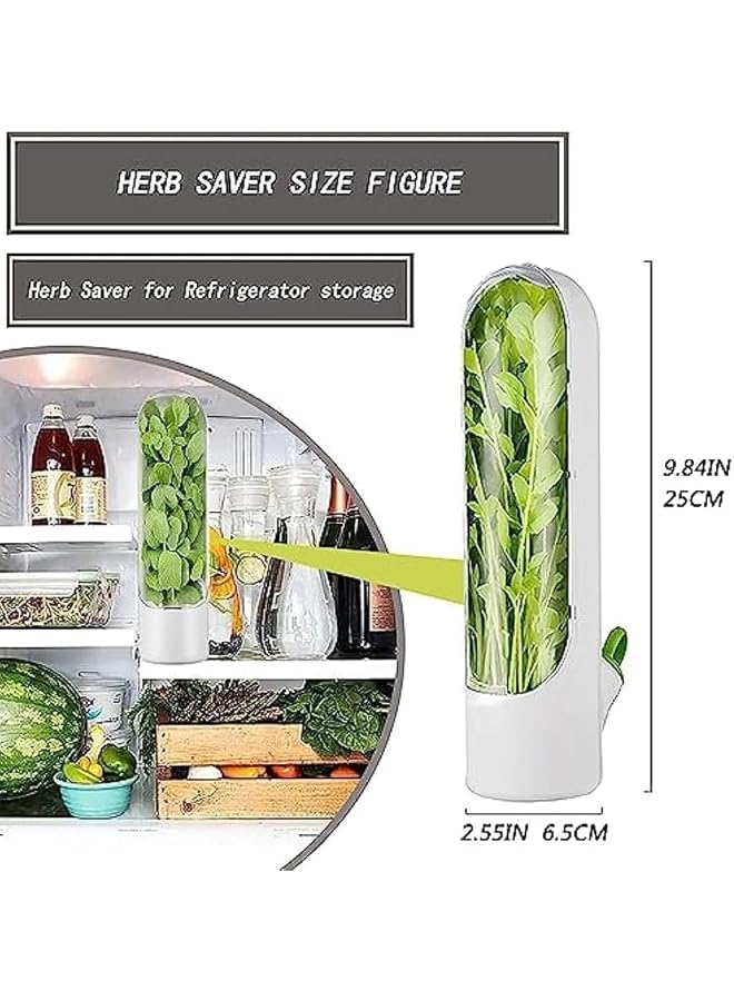Green Tiger 2 Pcs Herb Saver, Herbs Keeper for Refrigerator, Cilantro Storage Containers, Fridge Organizers and Storage, Herb Saver Pod Keep Fresh & Green Vegetables, Mint, Parsley, Asparagus - Image 3