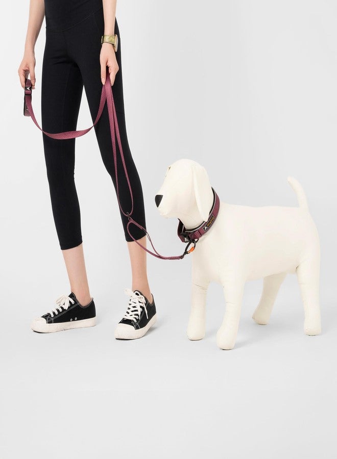 OllyDog طوق OllyDog Flagstaff العاكس المريح، طوق مبطن بالنيوبرين للكلاب، حواف عاكسة للجري الليلي، راحة إضافية للكلاب النشطة (كبير، بنقشة خشب الورد) - Image 5