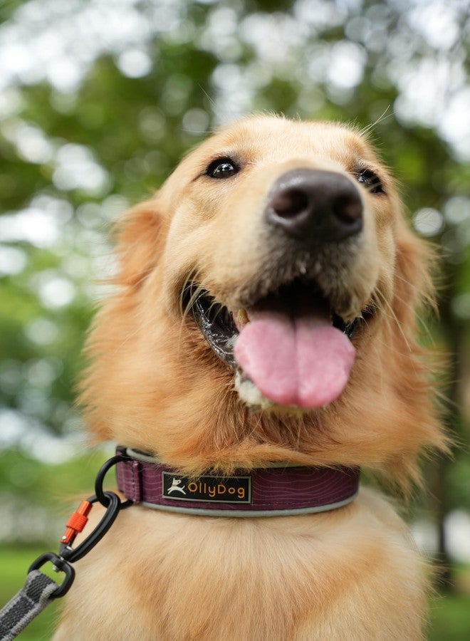 OllyDog طوق OllyDog Flagstaff العاكس المريح، طوق مبطن بالنيوبرين للكلاب، حواف عاكسة للجري الليلي، راحة إضافية للكلاب النشطة (كبير، بنقشة خشب الورد) - Image 2
