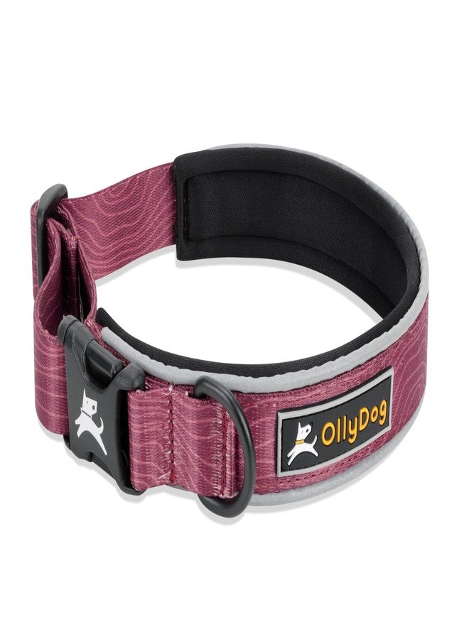 OllyDog طوق OllyDog Flagstaff العاكس المريح، طوق مبطن بالنيوبرين للكلاب، حواف عاكسة للجري الليلي، راحة إضافية للكلاب النشطة (كبير، بنقشة خشب الورد) - Image 1