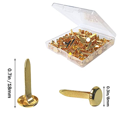 yuntop 100 Pcs Brass Paper Fasteners, 8x17mm Plated Mini Brads for Scrapbooking Crafts DIY Projects (Gold) - Image 4