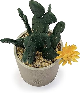 allgala Allgala Small Desktop Artificial Succulent Plant with Natural Clay Pot  - Image 1