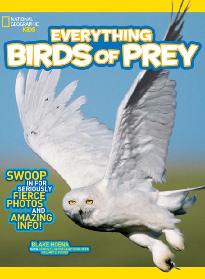 Everything Birds of Prey : Swoop in for Seriously Fierce Photos and Amazing Info 
