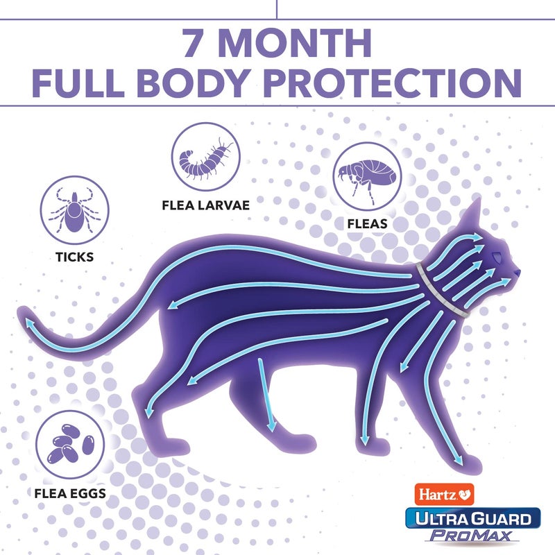 Hartz UltraGuard ProMax Flea & Tick Collar for Cats I 14 Months Protection I Soft & Comfortable | Flea & Tick Prevention I 2 Pack - Image 2