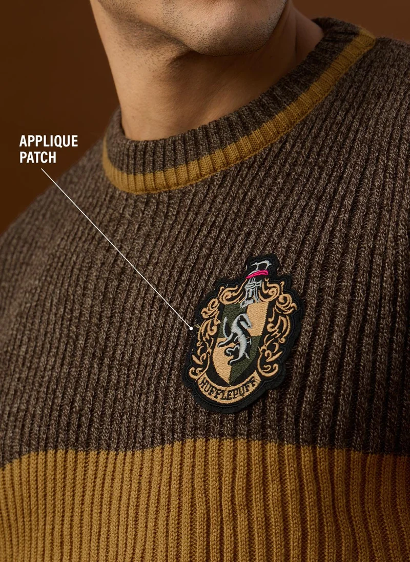 The Souled Store The Souled Store Men Harry Potter Brown Applique Oversized Pullovers