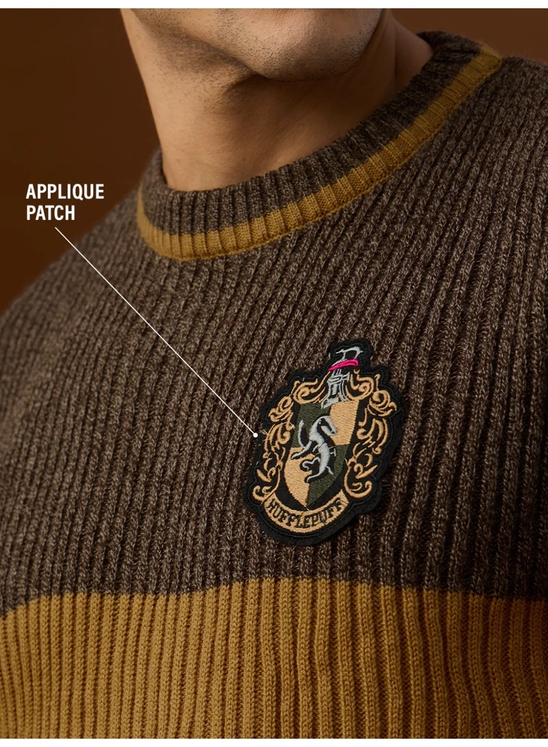 The Souled Store The Souled Store Men Harry Potter Multicolor Applique Oversized Pullovers
