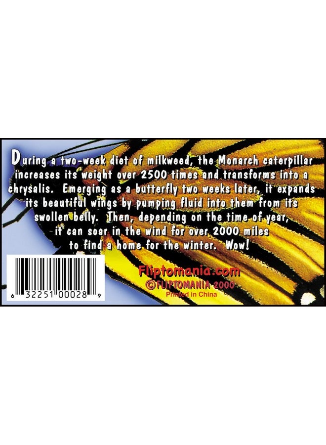 Fliptomania مجموعة فليب بوك طبيعة 3 قطع فراشة طائر الطنان وضفدع فليب بوك - Image 2