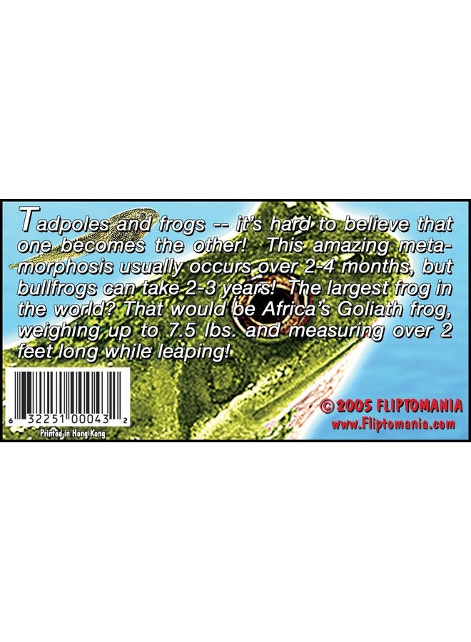 Fliptomania مجموعة فليب بوك طبيعة 3 قطع فراشة طائر الطنان وضفدع فليب بوك - Image 3