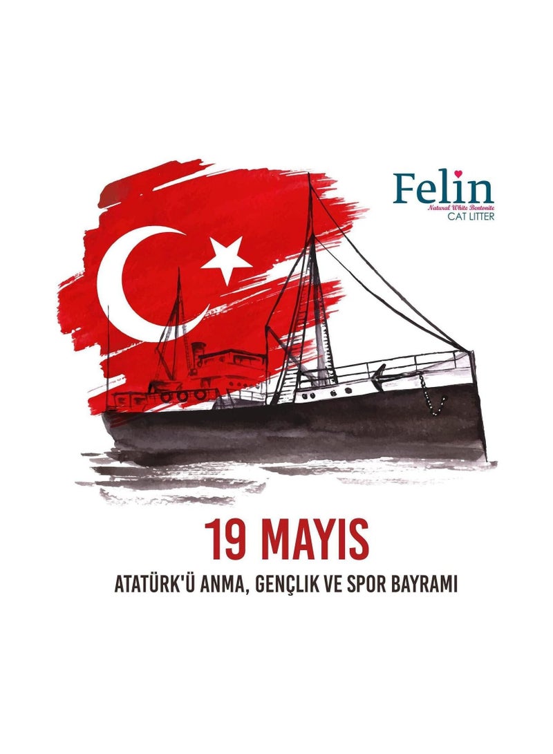 فيلين بريميوم للقطط (20 لتر) فضلات قطط طبيعية متكتلة خالية من الغبار (ليمون) - Image 5