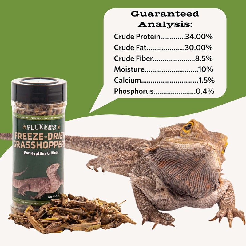 Fluker's Freeze Dried Grasshoppers, Nutrient-Packed, Ideal for Lizards, Reptiles, Birds, Fish, Hedgehogs, 1.7 oz - Image 2