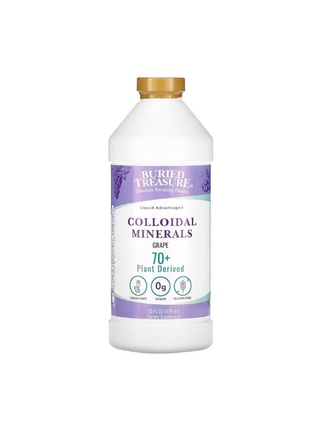 بيريد تريجر Colloidal Minerals Grape 33 fl oz 976 ml - Image 1
