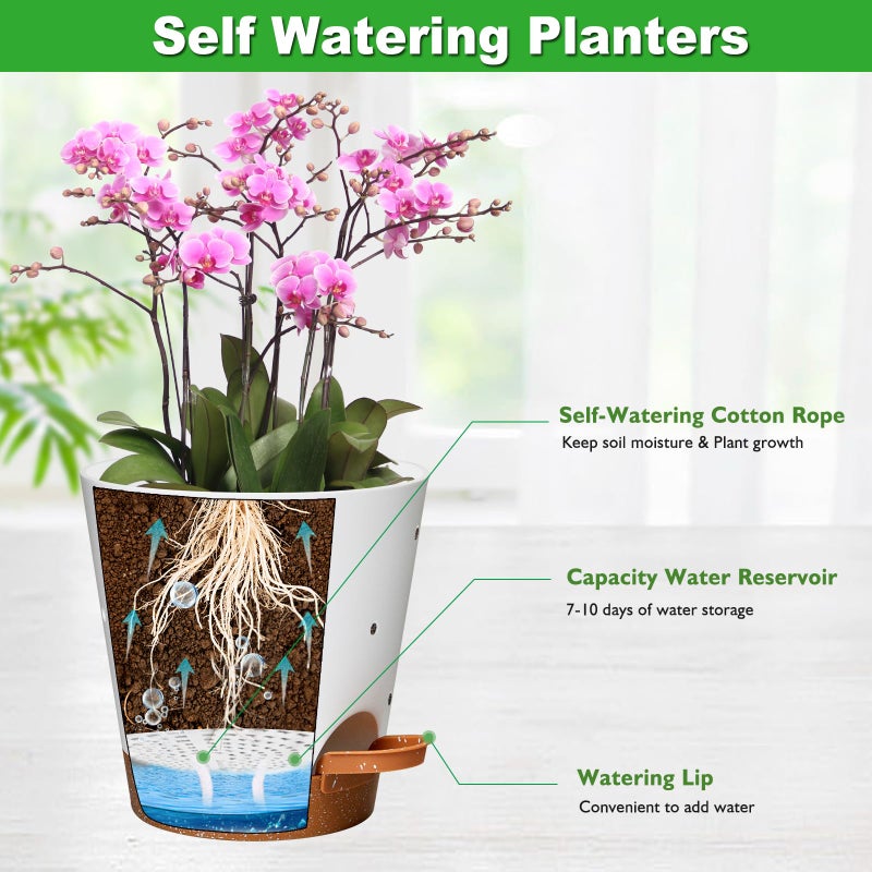 Vanslogreen Orchid Pots with Holes, 6 Inch Self Watering Orchid Pot 3 Pack Plastic Plant Pots for Orchid, Flower (Multicolor) - Image 3