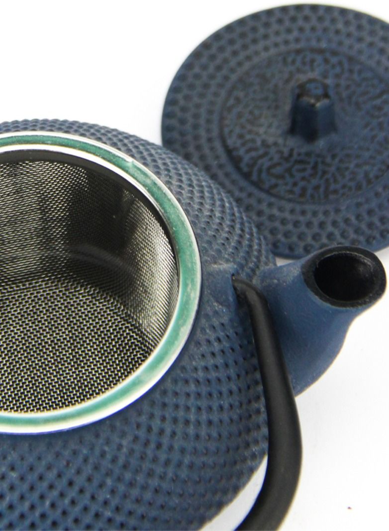 Tealand Durable Coated with Enamel Interior Cast Iron Teapot with Stainless Steel Infuser for Brewing Loose Tea Leaf 0.3 Litre Blue  - Image 4