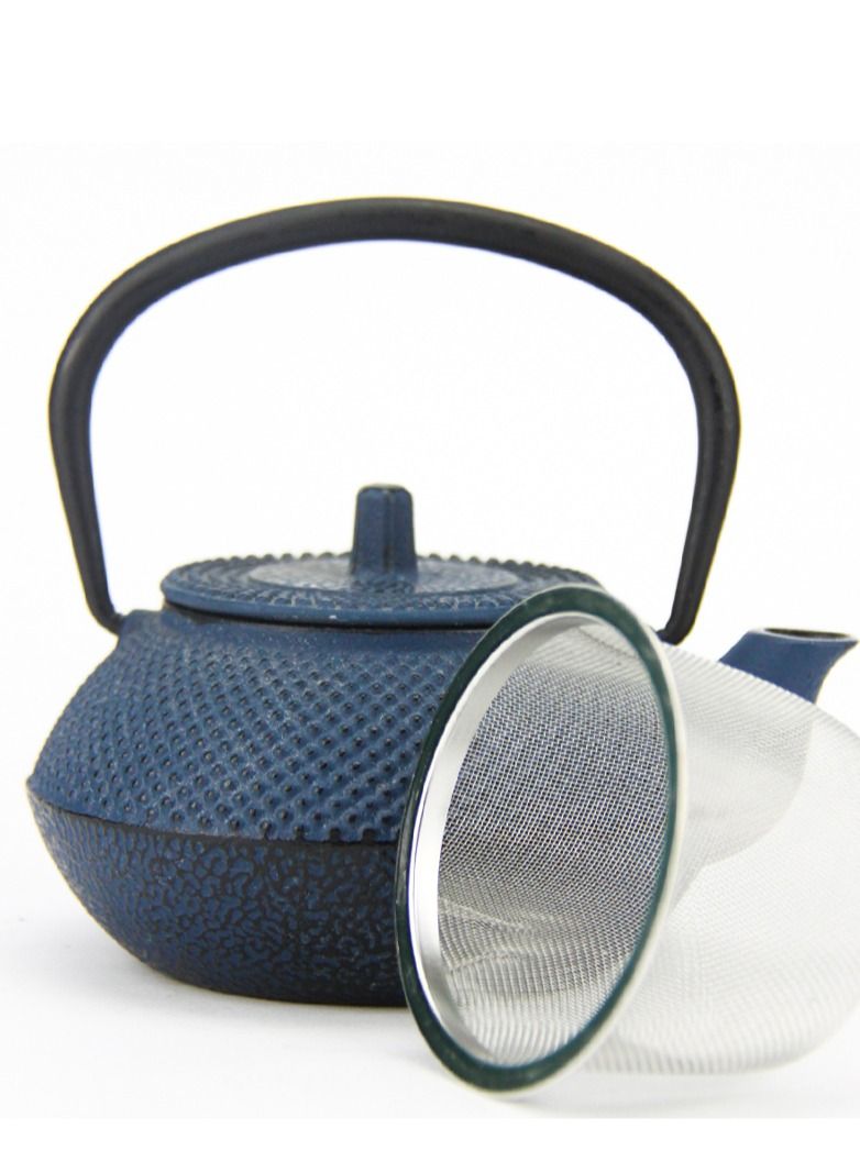 Tealand Durable Coated with Enamel Interior Cast Iron Teapot with Stainless Steel Infuser for Brewing Loose Tea Leaf 0.3 Litre Blue  - Image 2