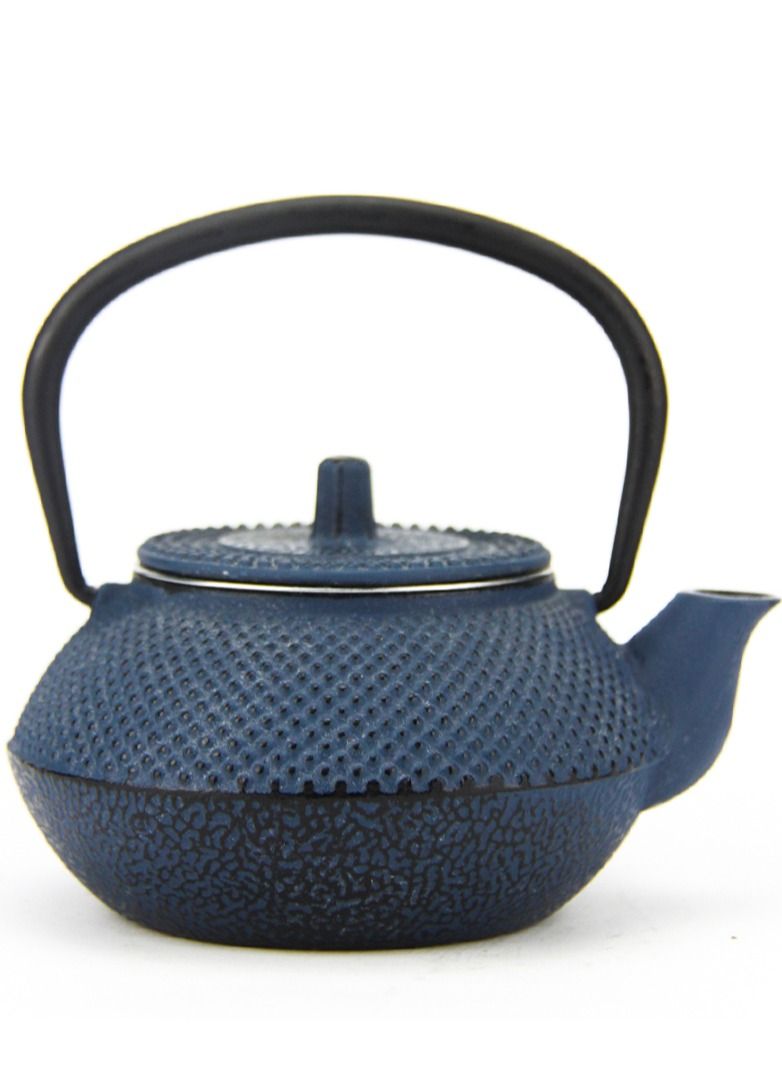 Tealand Durable Coated with Enamel Interior Cast Iron Teapot with Stainless Steel Infuser for Brewing Loose Tea Leaf 0.3 Litre Blue  - Image 1
