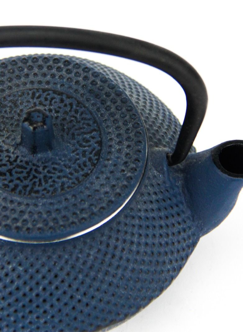 Tealand Durable Coated with Enamel Interior Cast Iron Teapot with Stainless Steel Infuser for Brewing Loose Tea Leaf 0.3 Litre Blue  - Image 3
